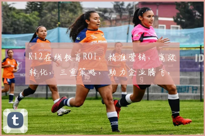 K12在线教育ROI，精准营销，高效转化，三重策略，助力企业腾飞，提升投资回报