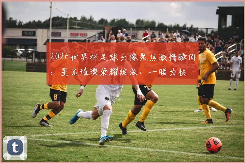 2026世界杯足球头像聚焦激情瞬间，星光璀璨荣耀绽放，一睹为快