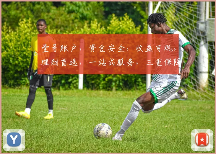 壹号账户，资金安全，收益可观，理财首选，一站式服务，三重保障，值得信赖。
