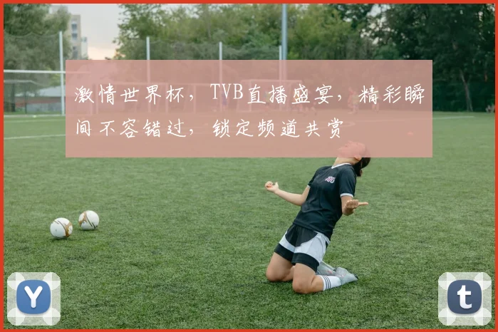 激情世界杯，TVB直播盛宴，精彩瞬间不容错过，锁定频道共赏