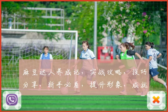 麻豆达人养成记，实战攻略，技巧分享，新手必看，提升形象，成就梦想之路