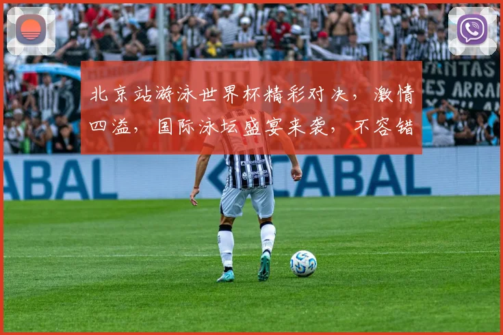 北京站游泳世界杯精彩对决，激情四溢，国际泳坛盛宴来袭，不容错过