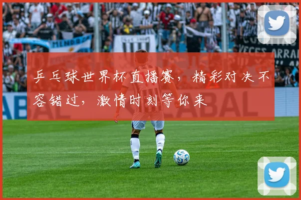 乒乓球世界杯直播赛，精彩对决不容错过，激情时刻等你来